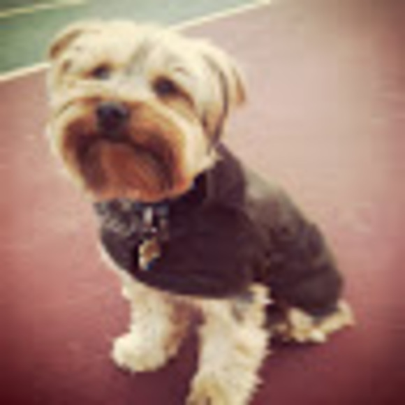 Meet your Posher, Allison - Picture 1 of 1